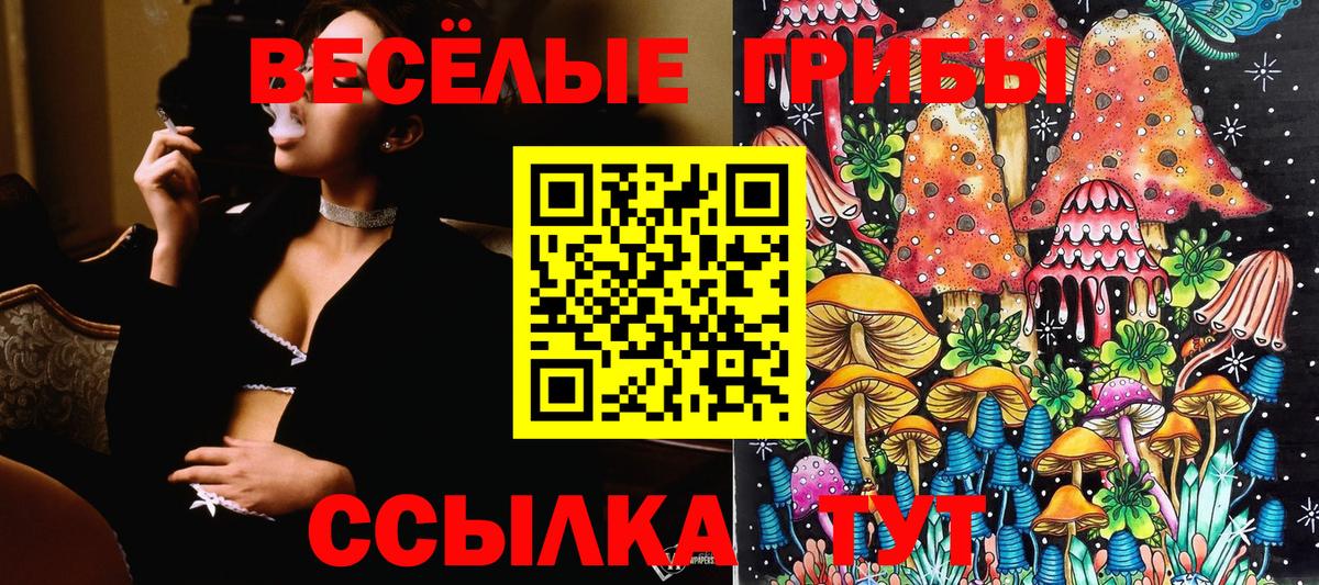 Псилоцибиновые грибы ЛСД Дедовск