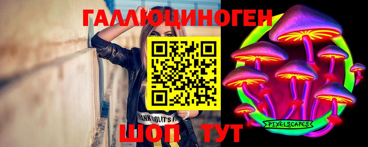 Псилоцибиновые грибы Psilocybe  Галлюциногенные грибы Psilocybine cubensis  Дедовск  Вход с VPN 
